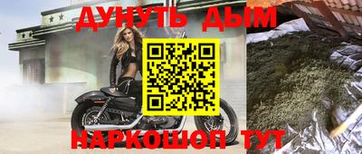 крисы Лесосибирск
