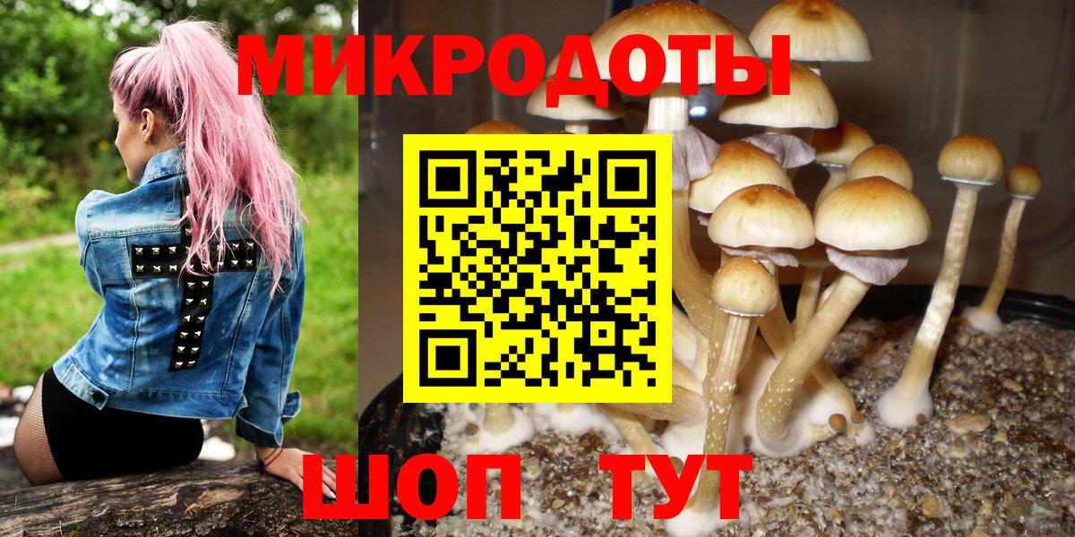Камышин  Галлюциногенные грибы мухоморы  Вход с VPN 